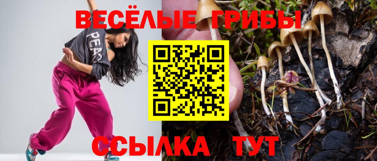 Галлюциногенные грибы мицелий Лабытнанги